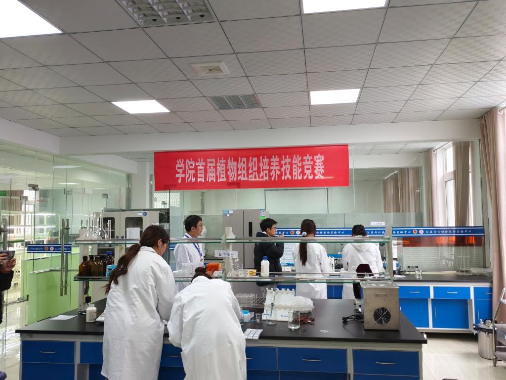 图示, 示意图

中度可信度描述已自动生成:ver1